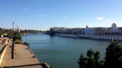 triana bridge guadalquivir view seville