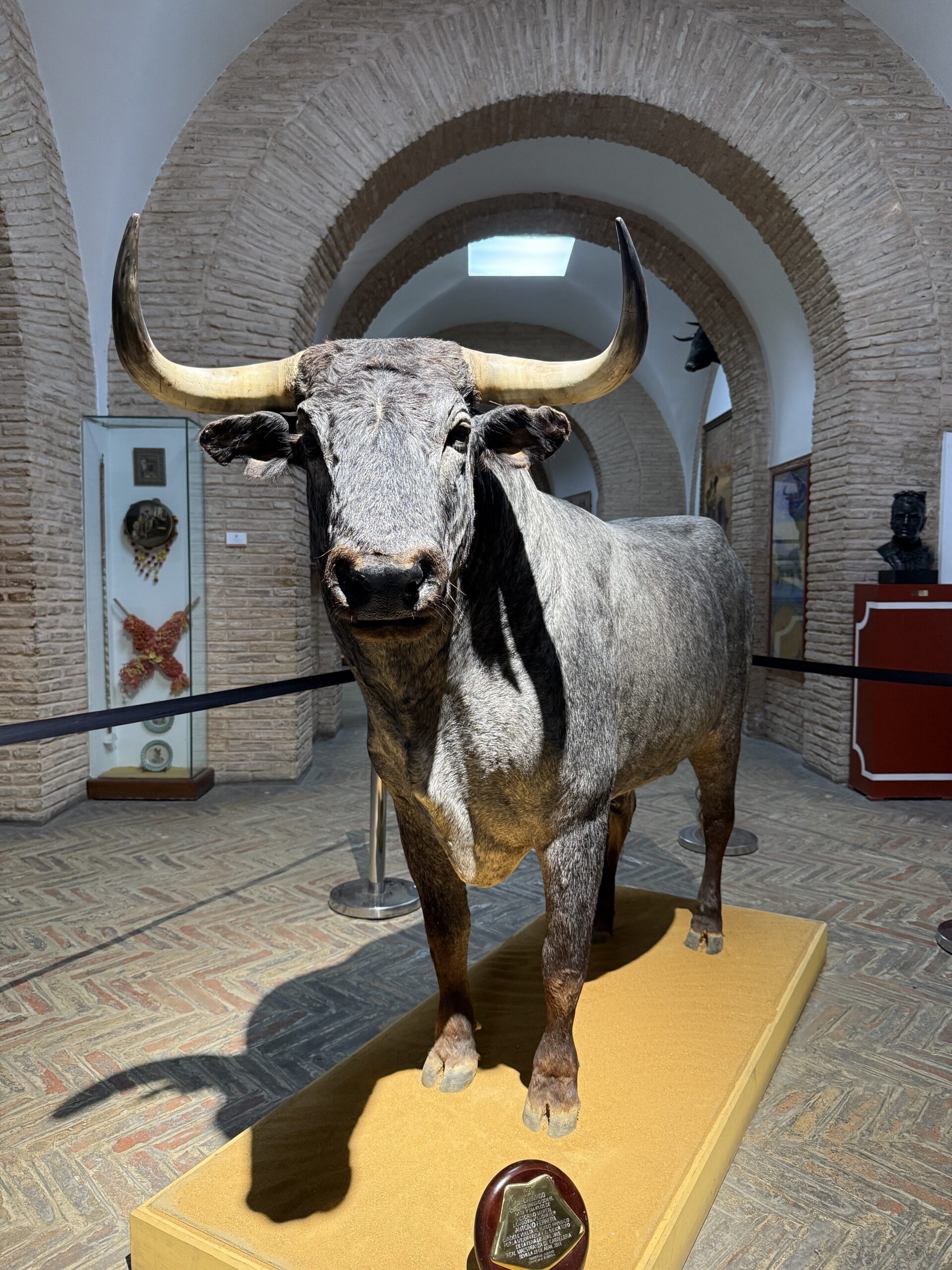 Plaza de Toros de la Maestranza: Sevilla’s historic and controversial Bullring