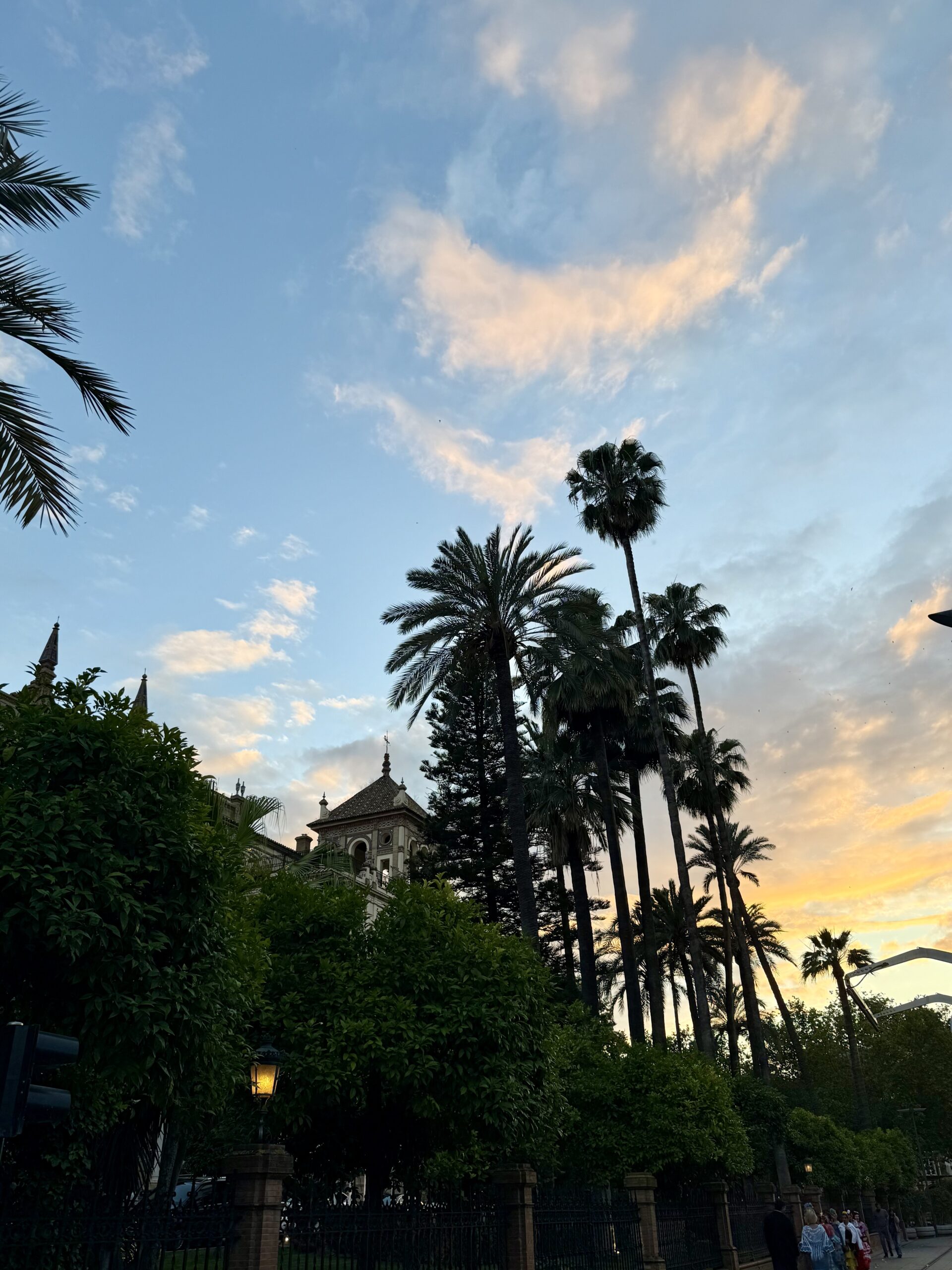 Seville on a budget: Top things to do without breaking your bank