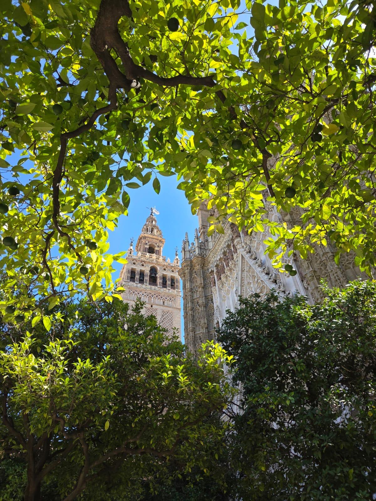Los colores otoñales de Sevilla: parques y jardines llenos de magia 