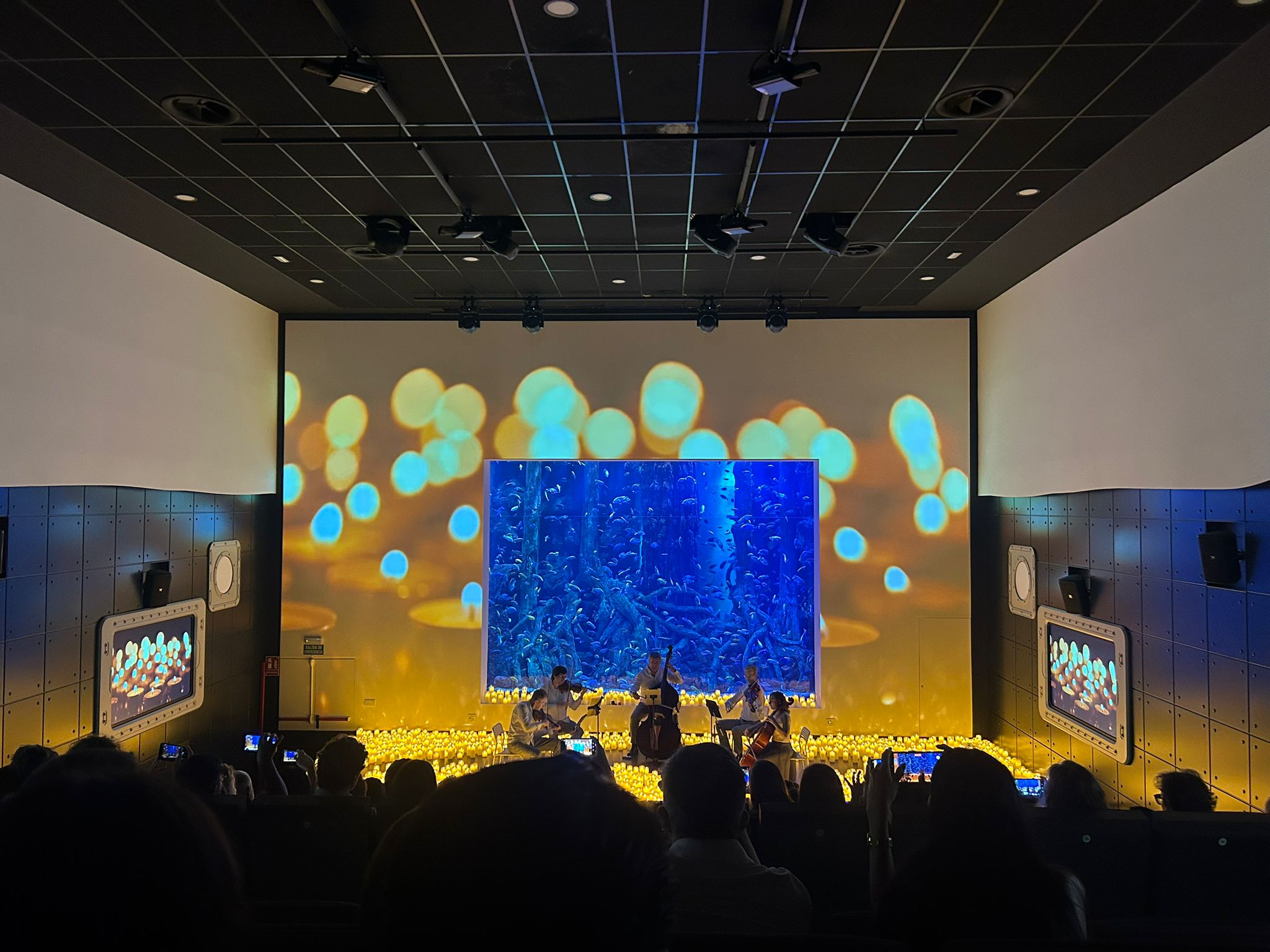 New Year’s Concert