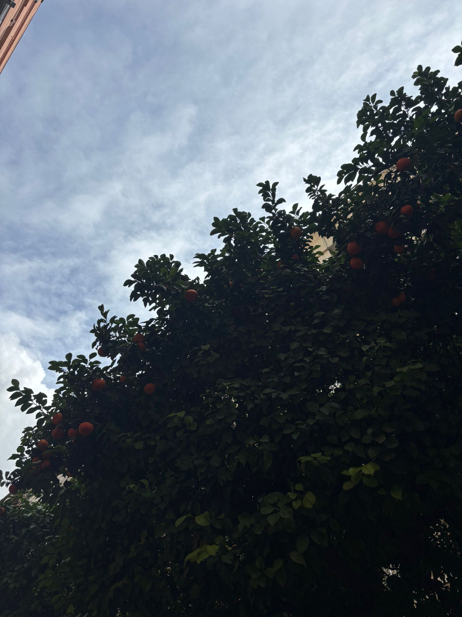 Seville’s sweet secret