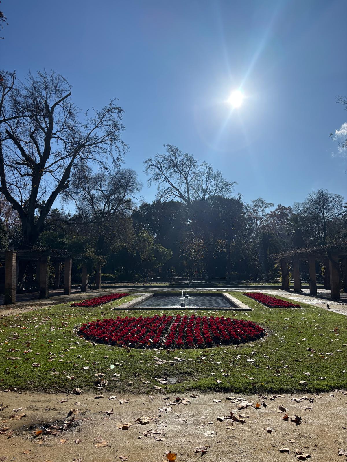 Exploring Seville in winter