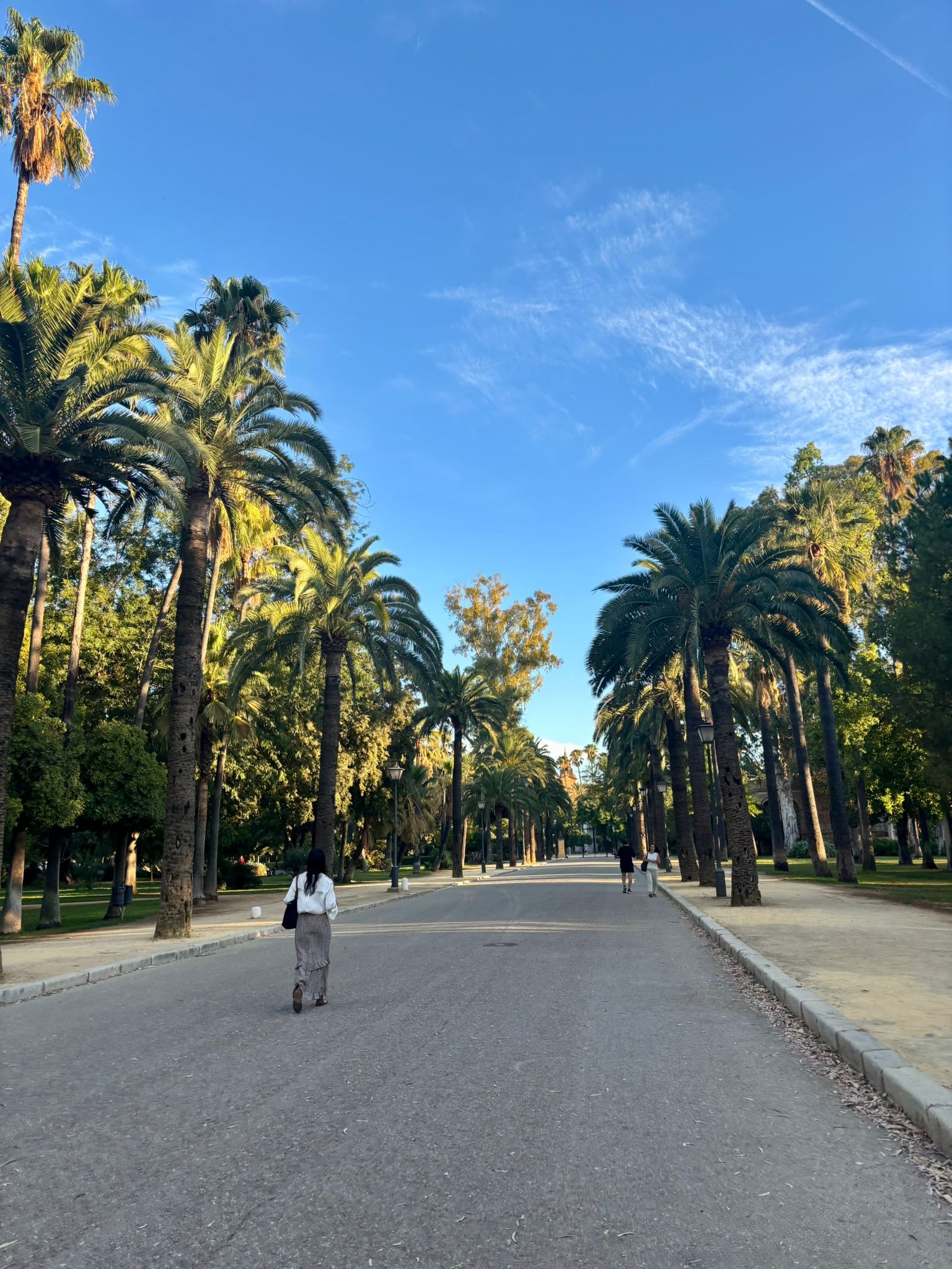 Media Maratón por Sevilla