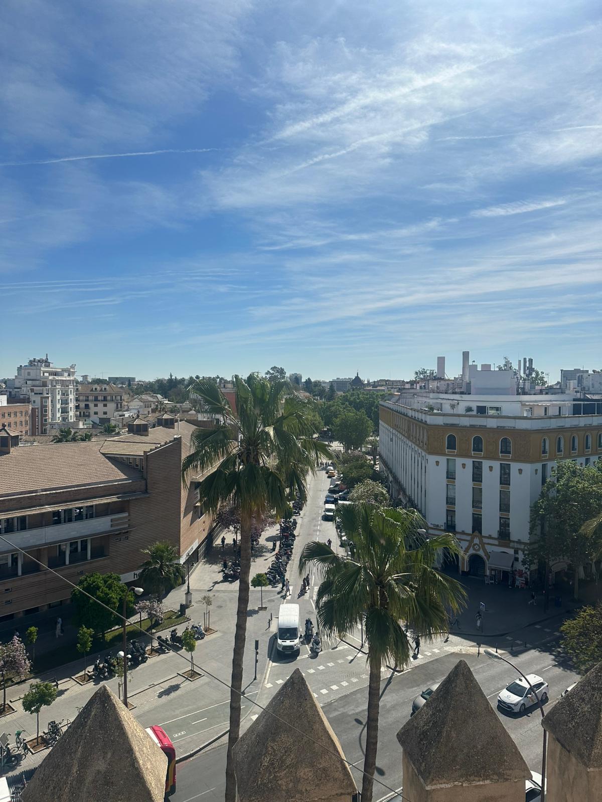 Sevilla bajo el calor: cómo se adapta la ciudad