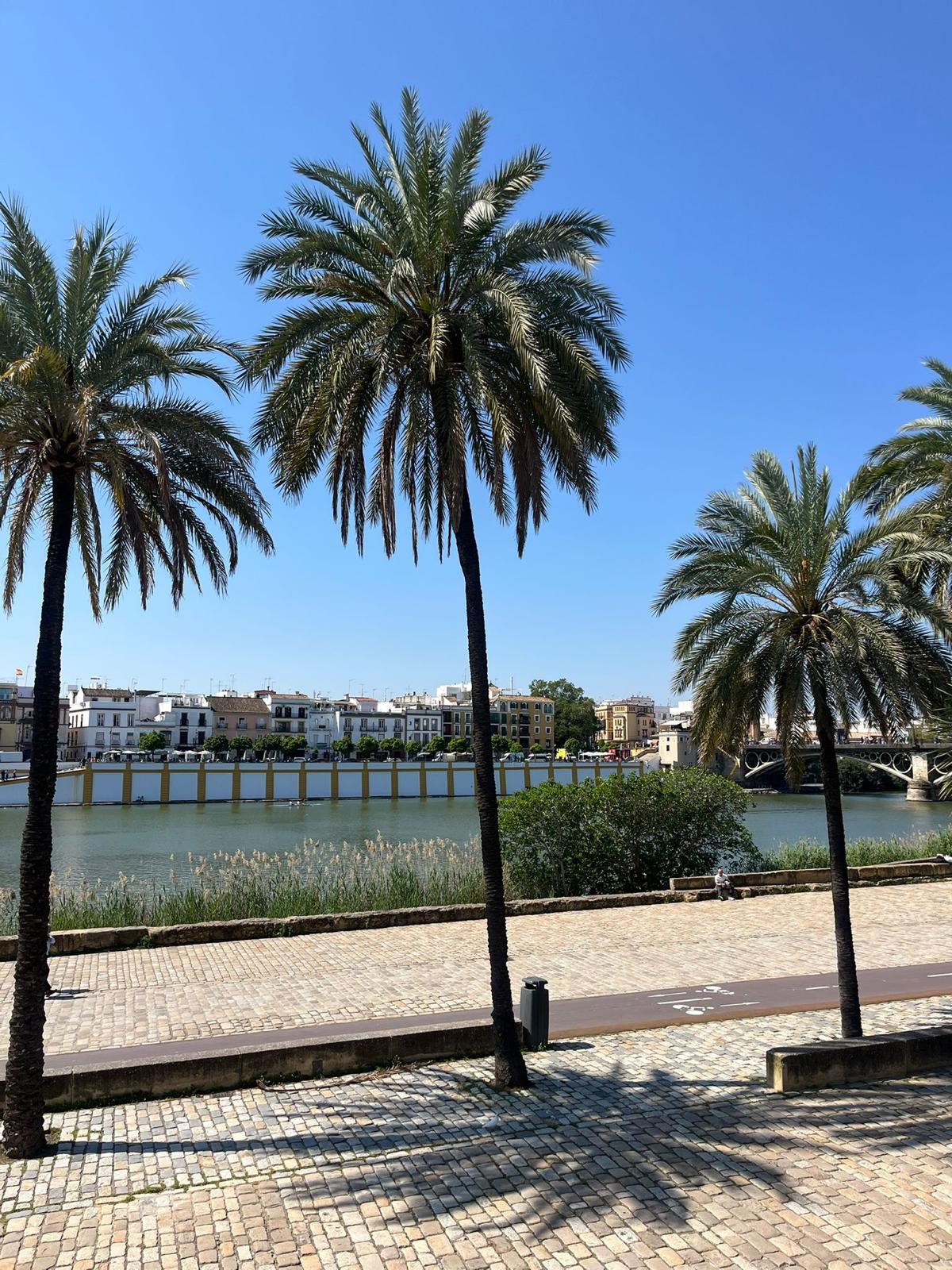 Sevilla sin un plan